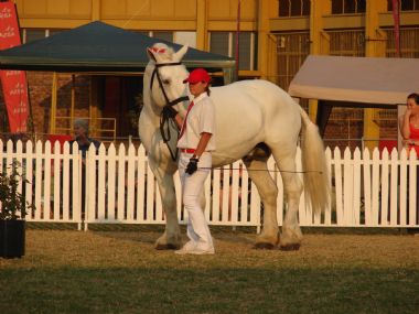 Pta skou 2009 023_1_th1.jpg